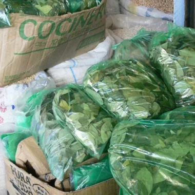 coca leaves